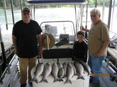 Nice Striped Bass